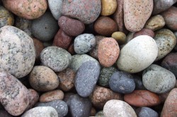 Ook stenen vormen een perfect mulchmateriaal!