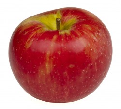 Kruidenweetjes: Appel (Malus silvestris, domestica en communis)