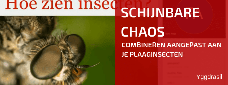 Schijnbare Chaos: Hoe slecht ziet een insect?